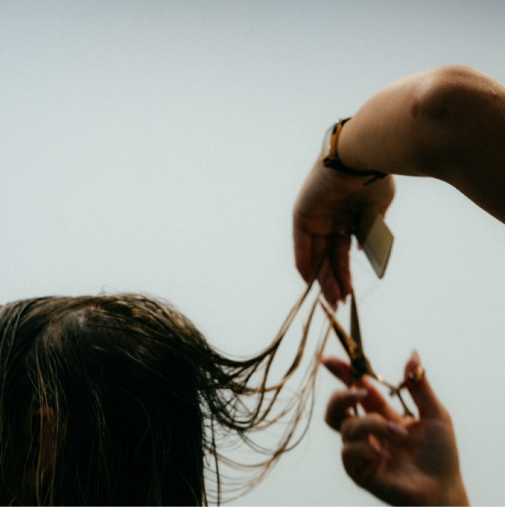 Color + Haircut at Blondtourage in Clinton Township, MI