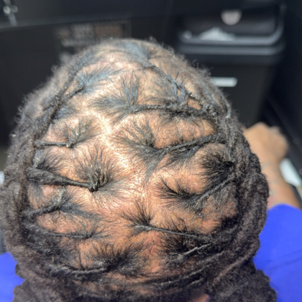 Dread Retwist at Fades & Blades Grooming in Knoxville, TN