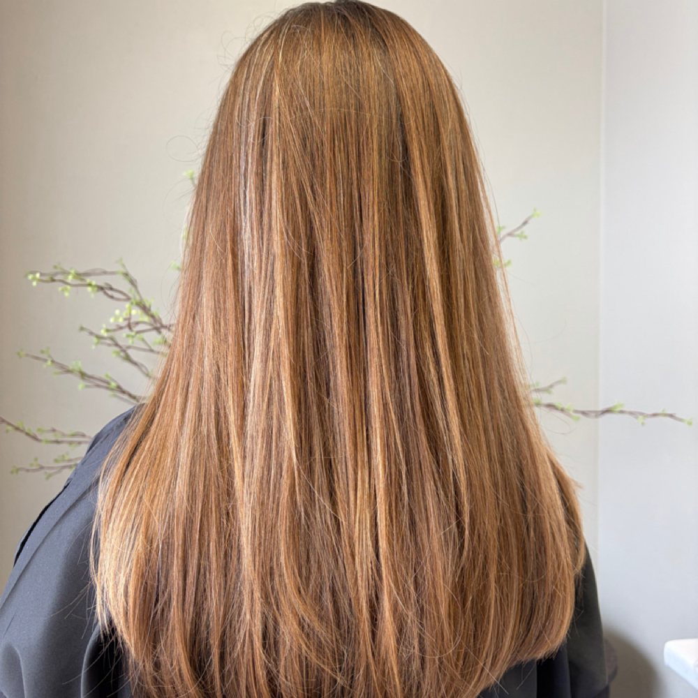 ALL OVER COLOR (LONG HAIR) at Vera Luna Beauty Collective in Rapid City, SD