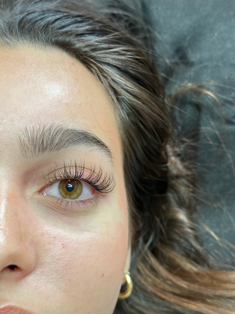 Classic Fill (2-3weeks)