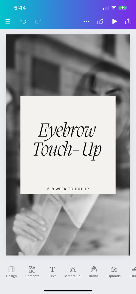 Eyebrow Touch Up