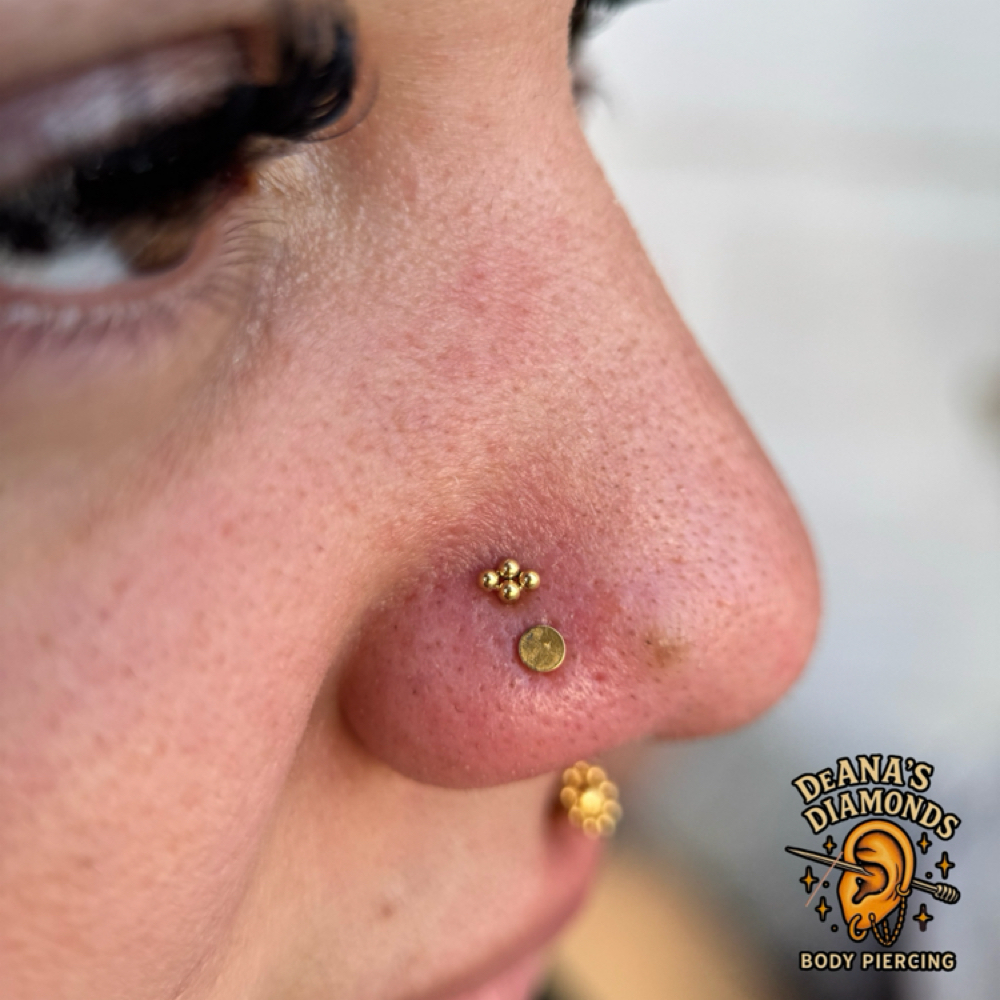 NOSTRIL at DeAna’s Diamonds in Green cove springs, FL