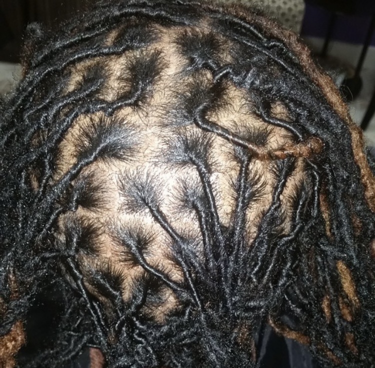Dreads (Deluxe Package)