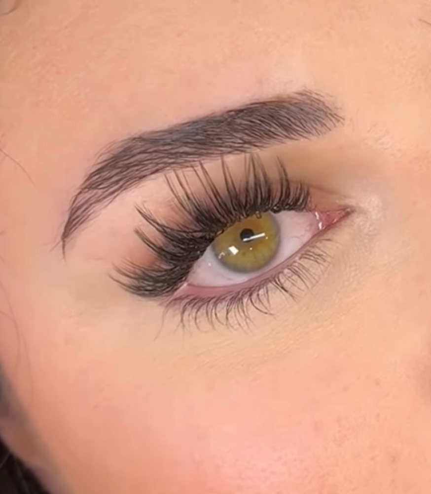 Hybrid Lash Extension Refill