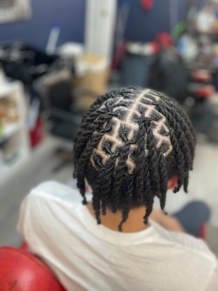 Retwist 2 Strand (Neck Or Shorter Length)