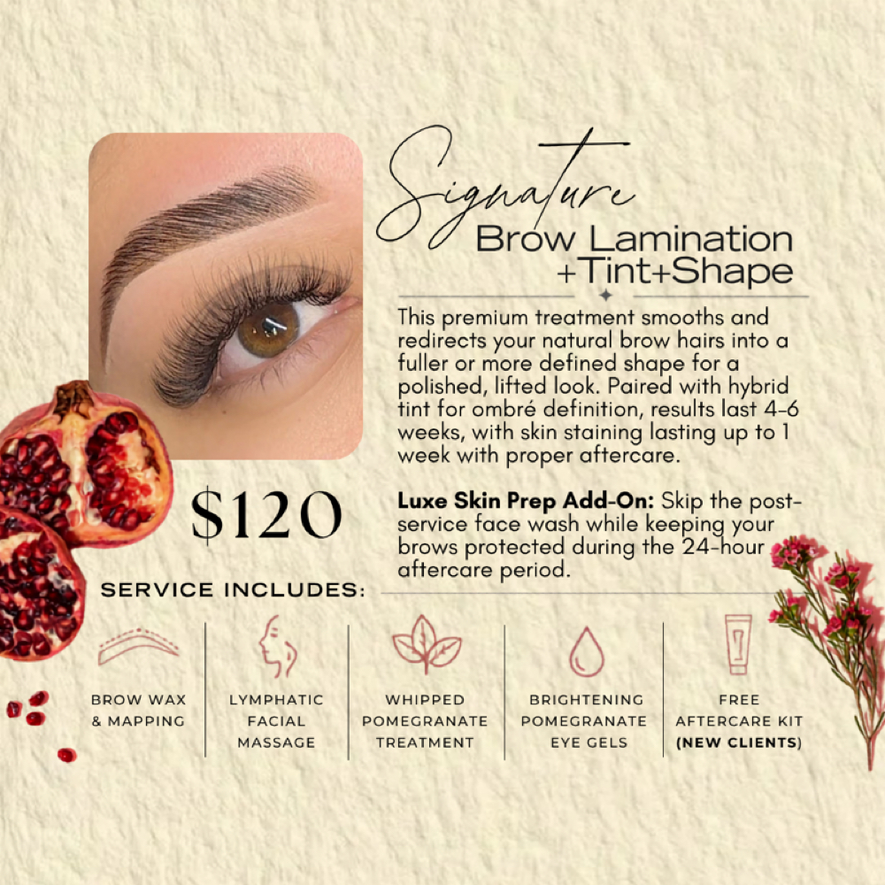 Brow Lamination+Tint+Shape at THEBROWMORPHO in El Paso, TX