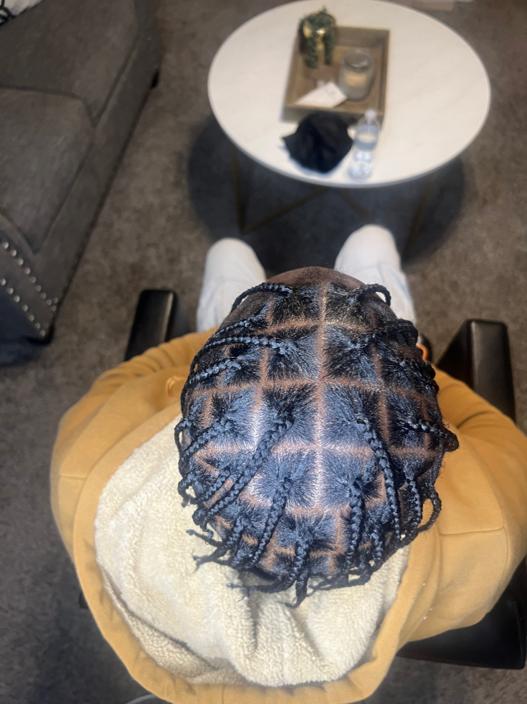 Square Part Plats (braids)