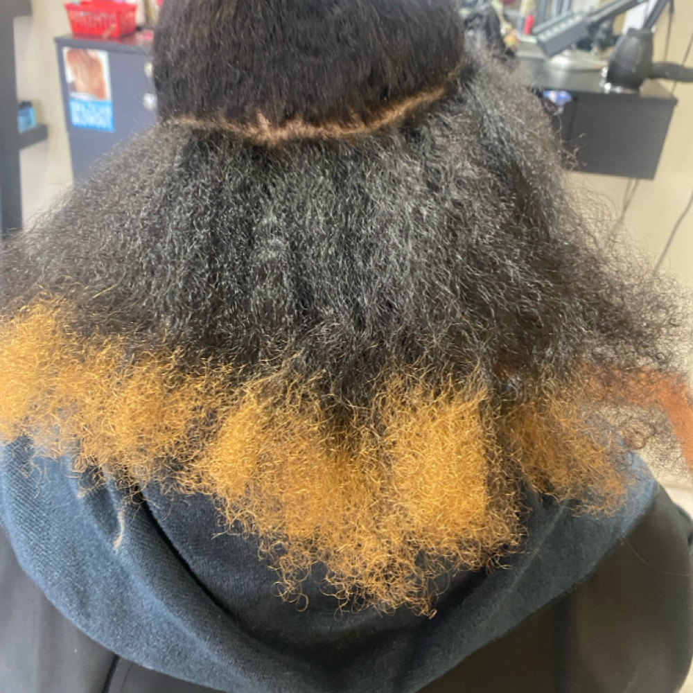 Corrective Color at Dream & Co. Beauty Salon in Reading, PA