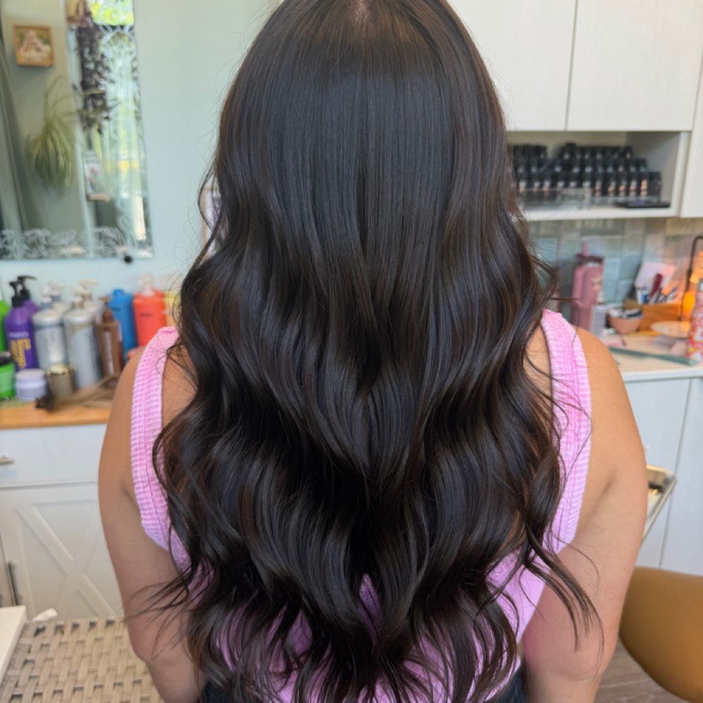 COLOR TOUCH-UP | REGROWTH ONLY at Wild Bloom Hair Studio in Wyomissing, PA