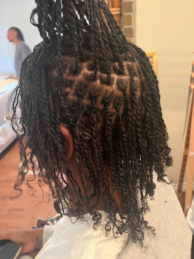 Tiny Locs Twist/Braids