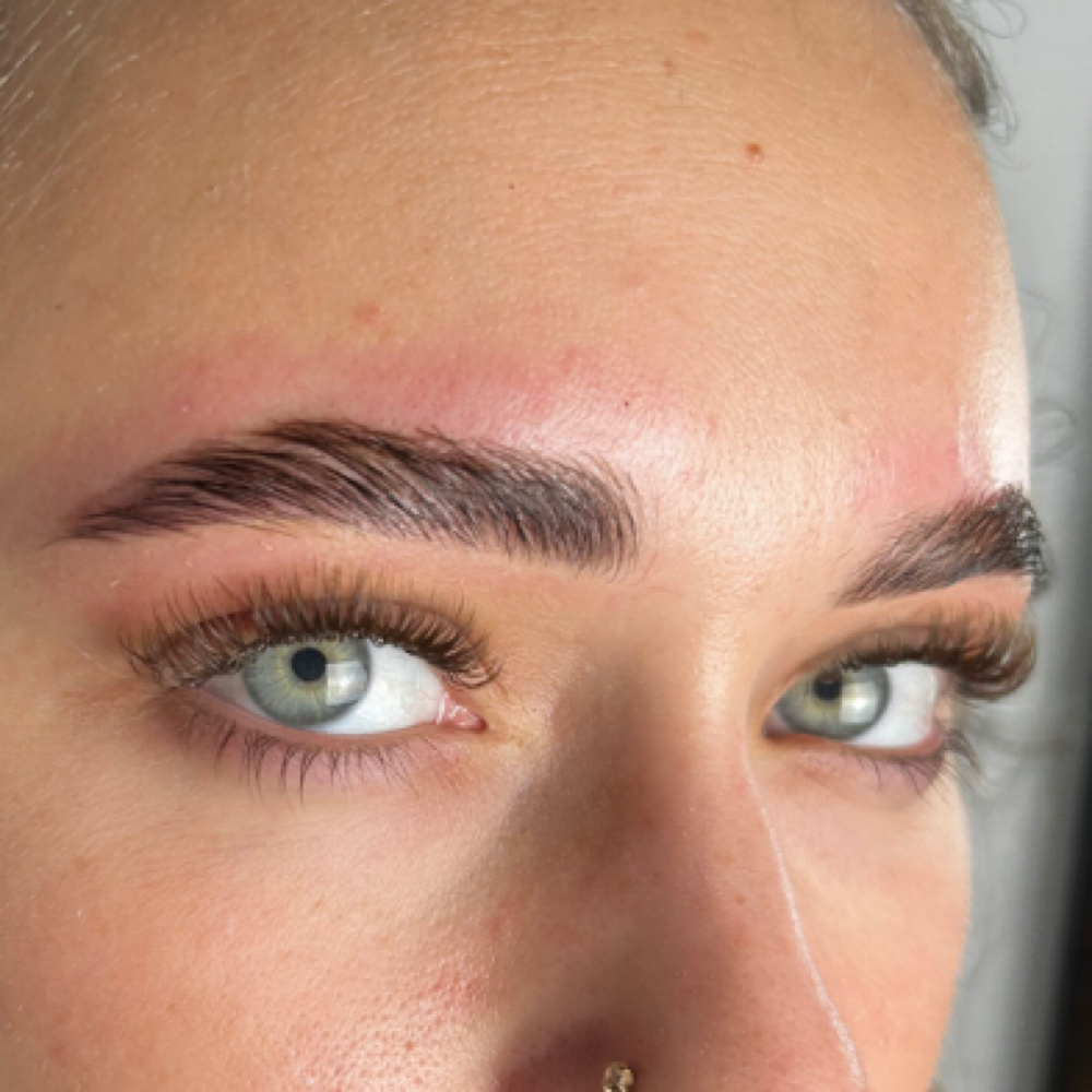 Brow Lamination & Wax at Romi Lash Society in Westchase, FL