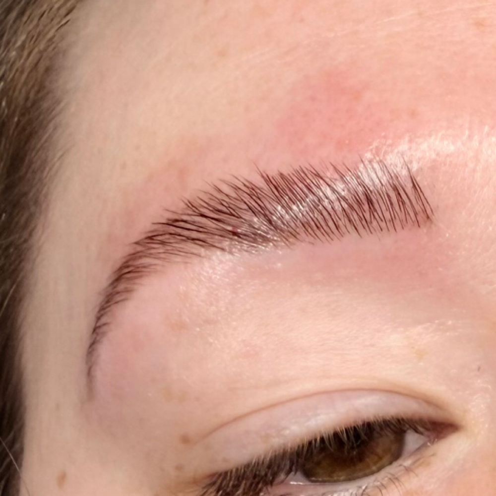 Brow Babe Tint 💕 at Babe on E Esthetics in Sanford, NC