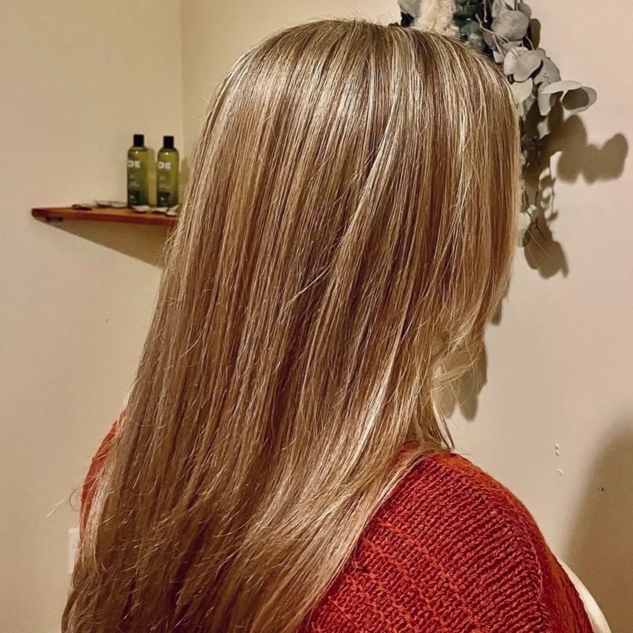 Partial Lightening at Wildroots Hair Studio in Walton, NY