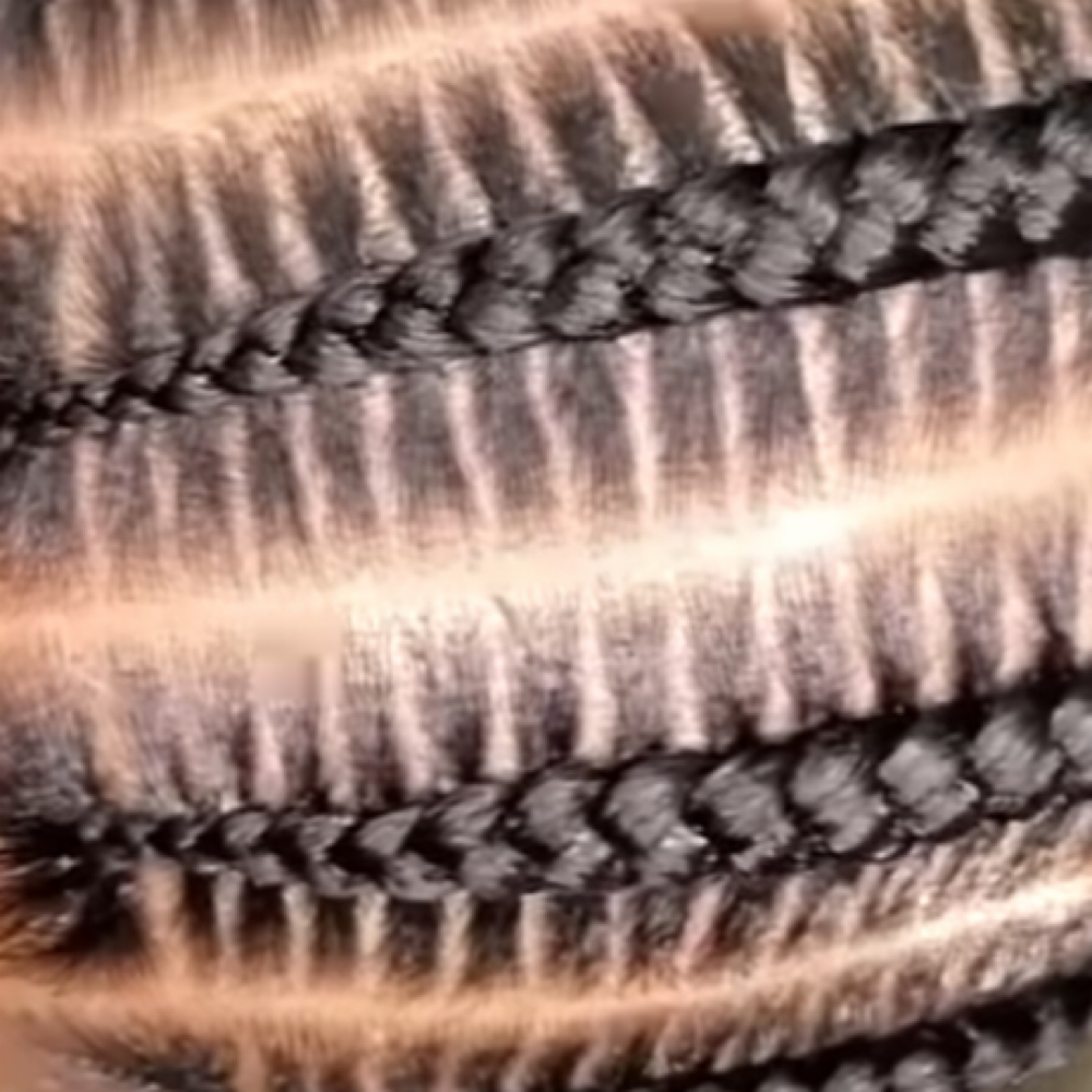 Stitch Braids at JD Braiding Embassy in Richmond, TX