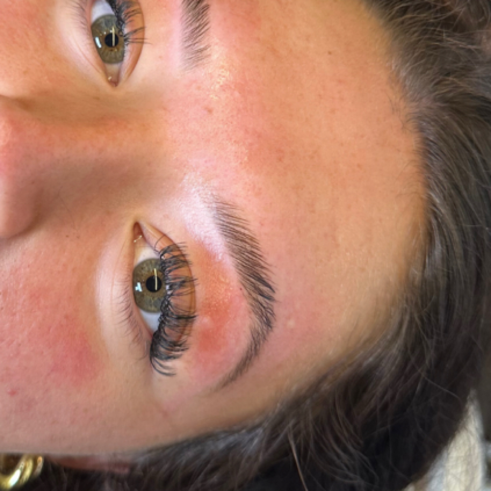 Eyebrow Tint at Kins N Koe in Knoxville, TN