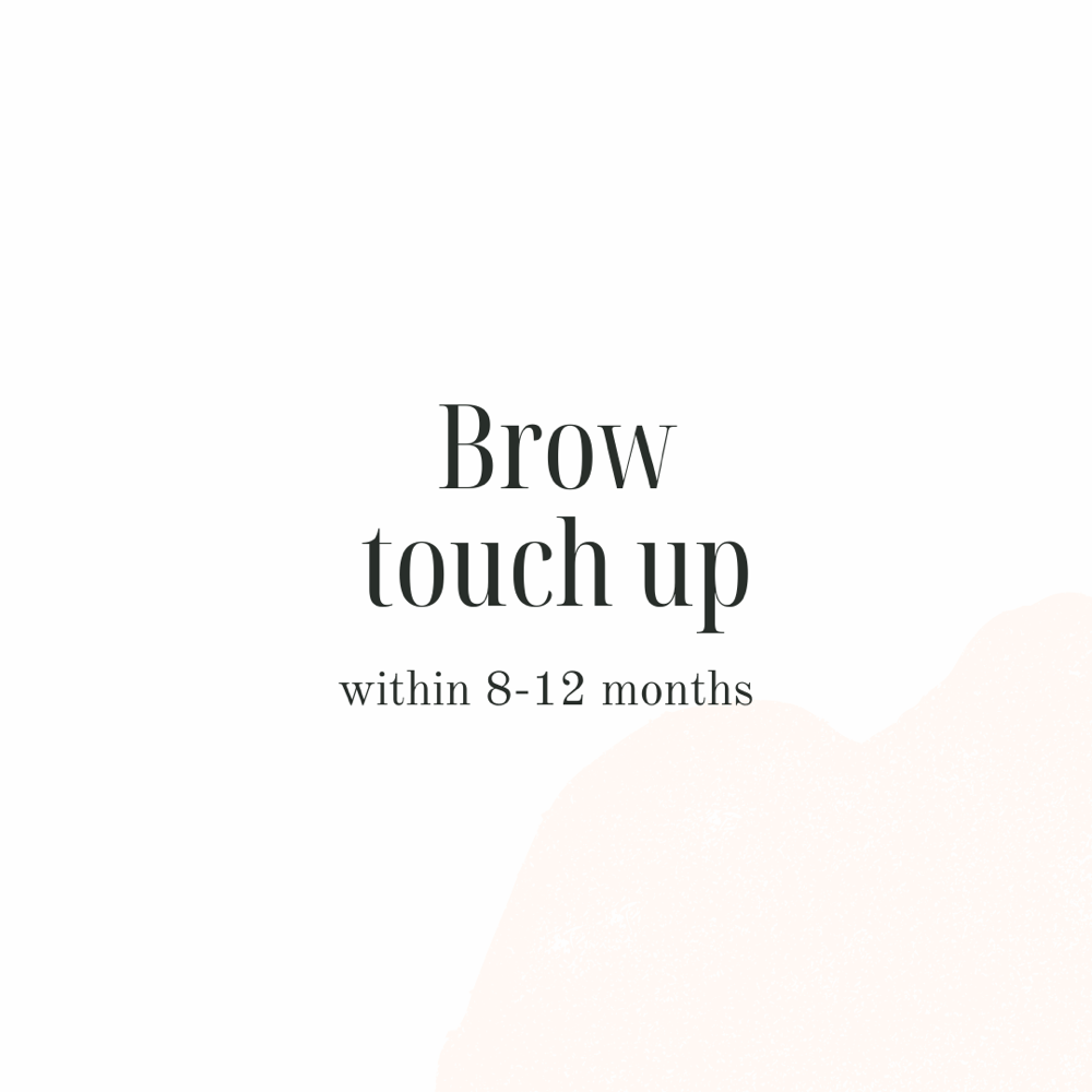 Brow Touch-Up (8-12 months)