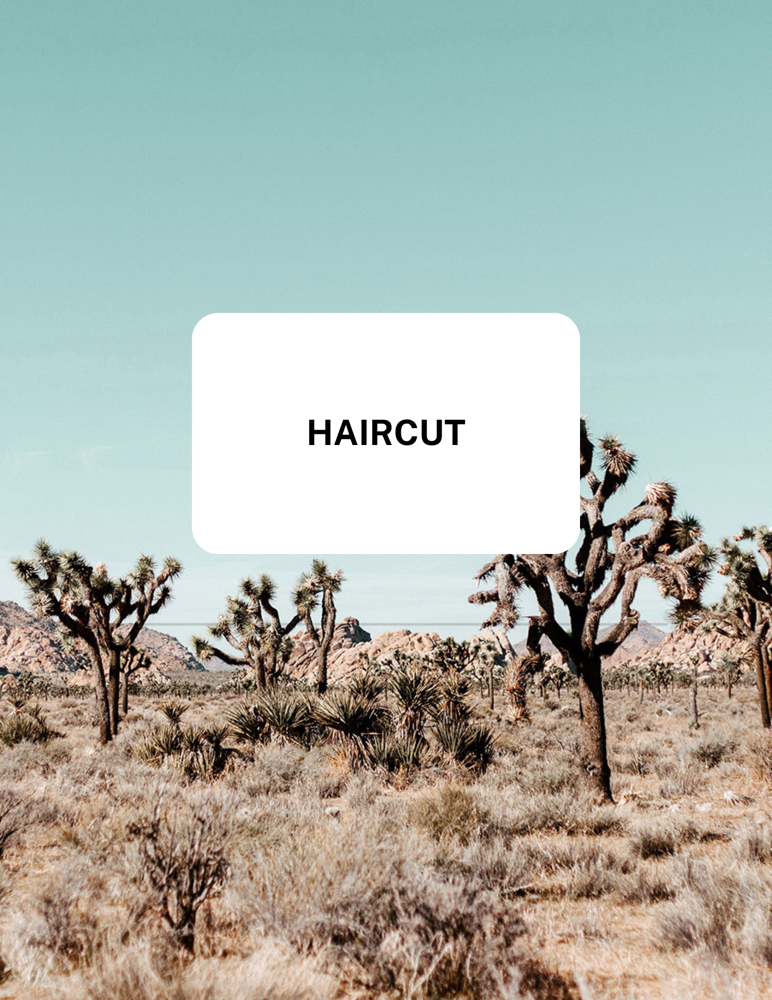 Haircut With Renee