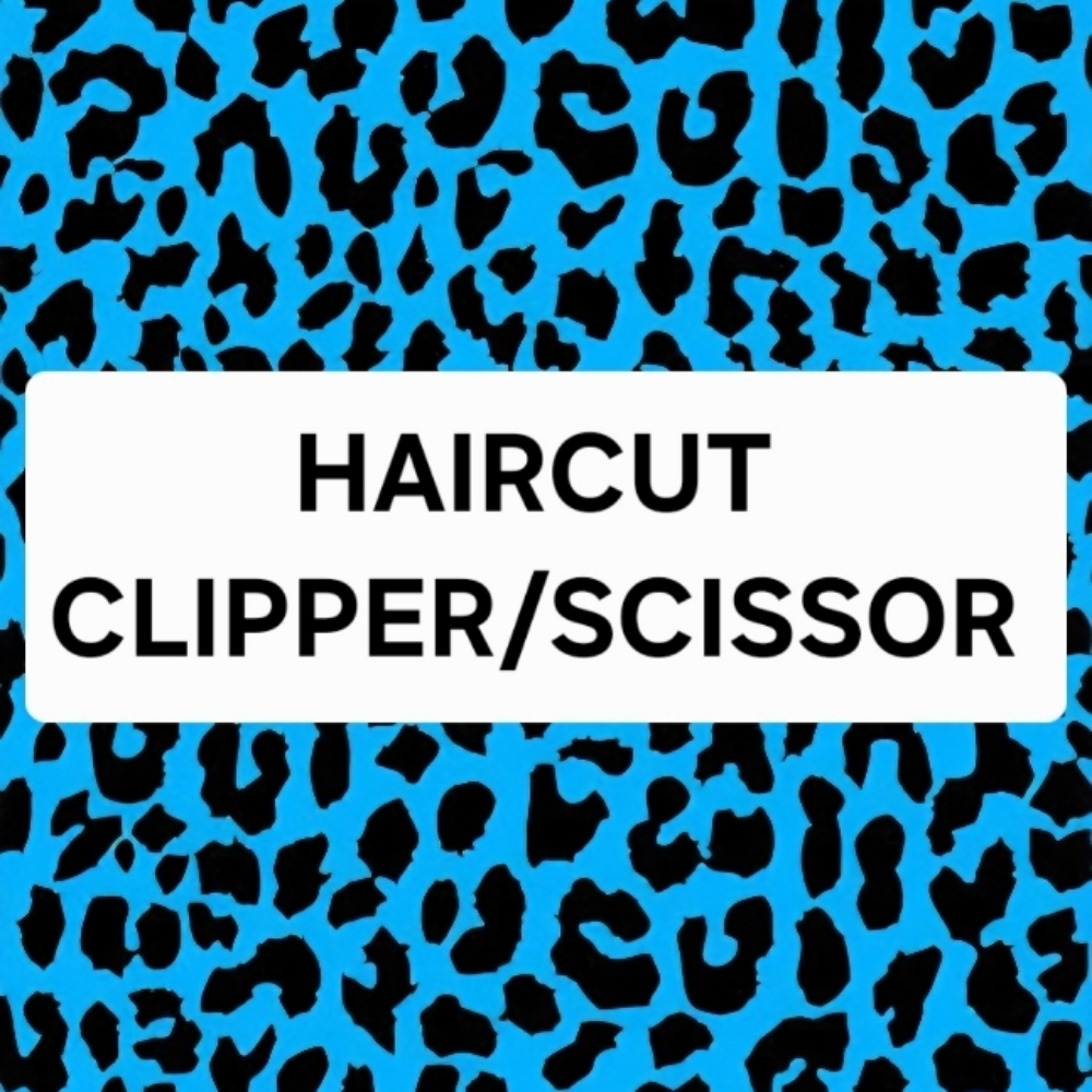 Haircut Clipper/Scissor ($55) at WILDCAT HAIR STUDIO in San Diego, CA