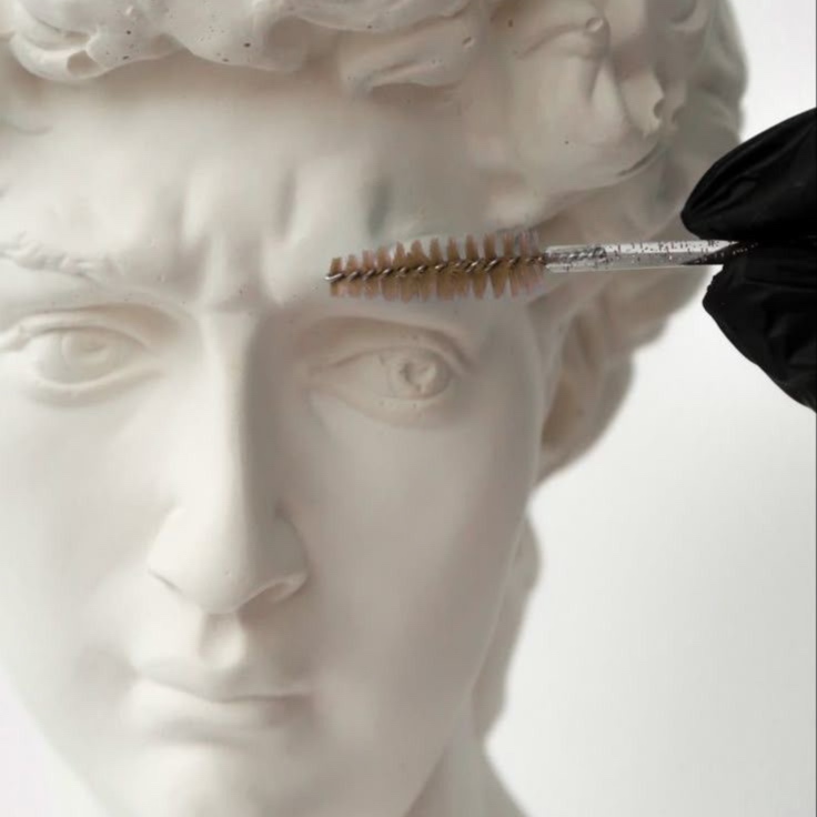 Brow Wax & Tint RETOQUE at Estheticssbysilvia in Austin, TX