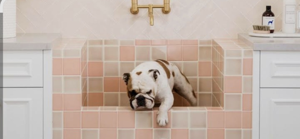 Medium Bath (Short Hair)