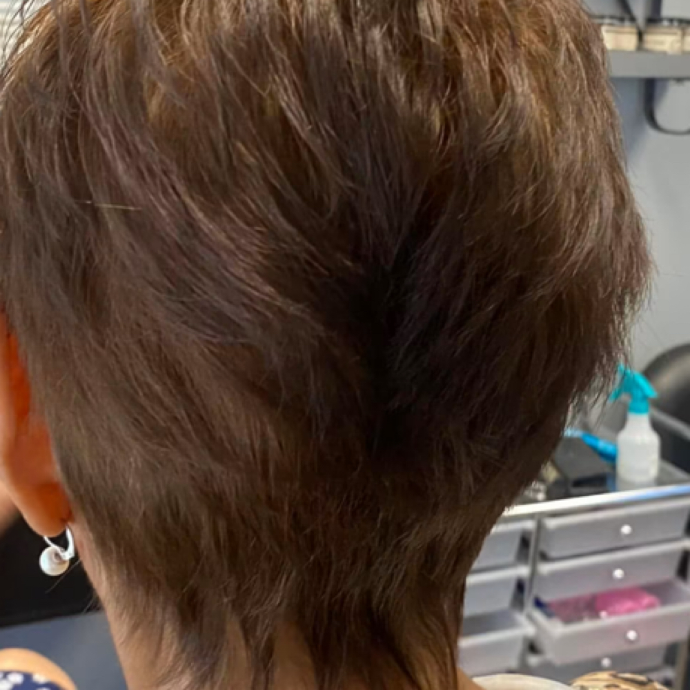 Shampoo /style Short at Color Me Crazee in Springfield, MO