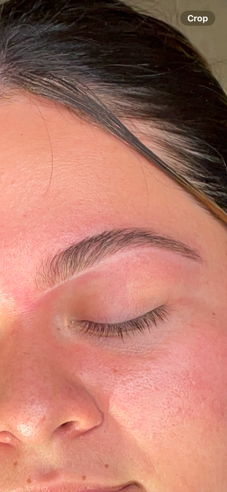 Eyebrow Threading Model