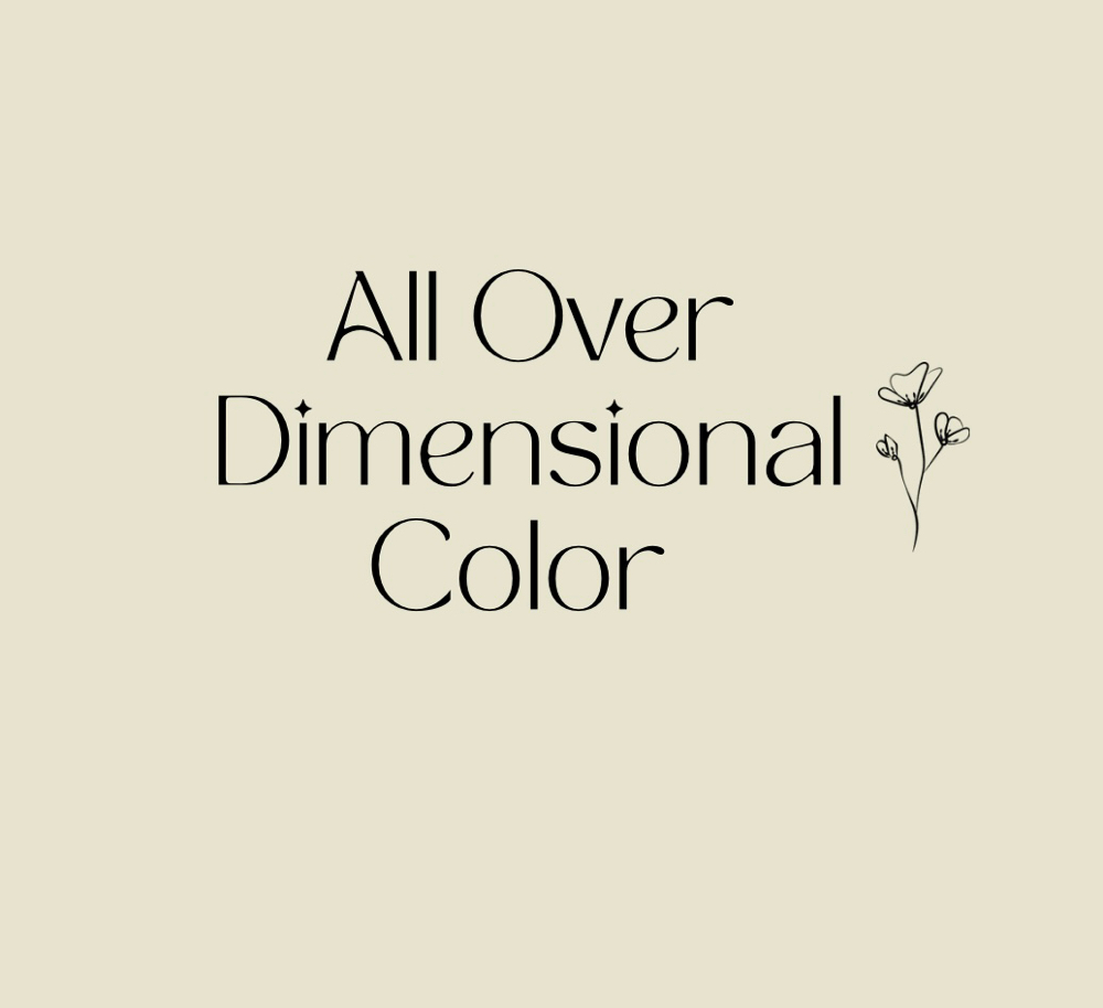 All Over Dimensional Color at Hair By Chey in New Bern, NC