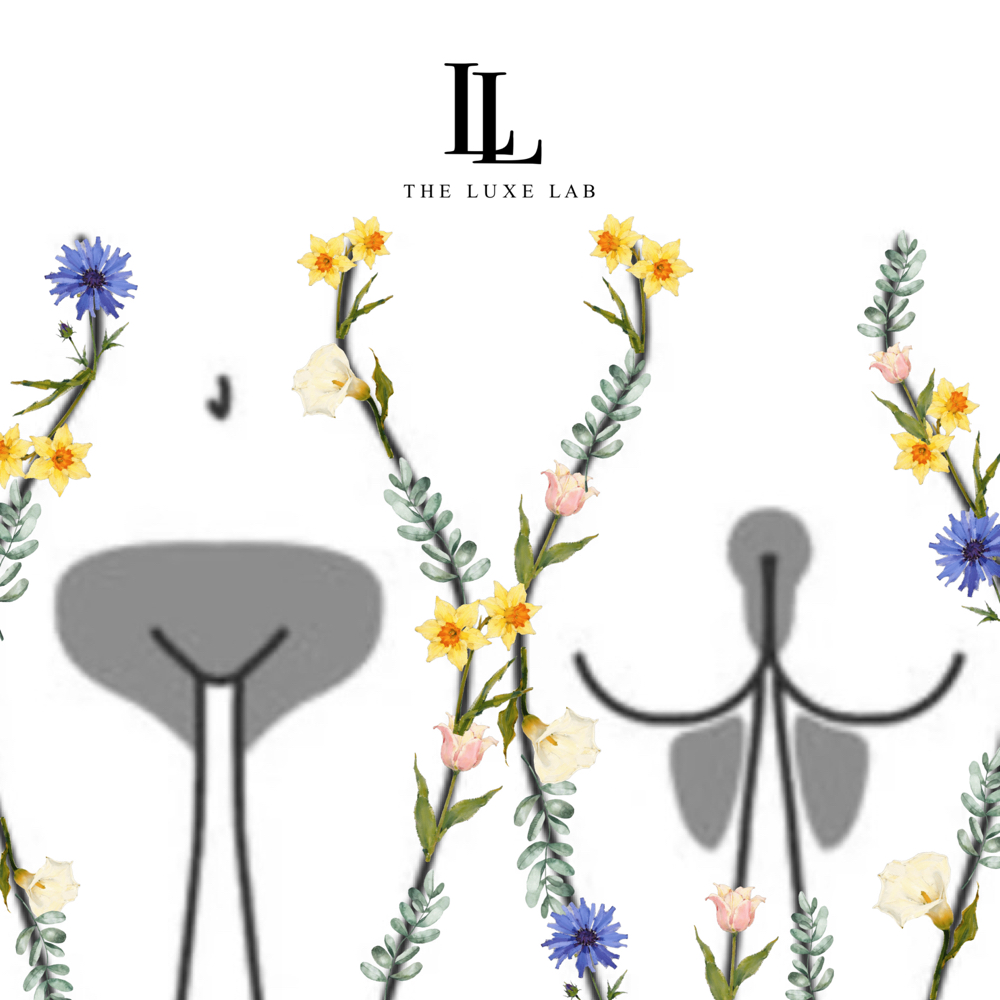 Brazilian (Front + Back) at The Luxe Lab in New Brunswick, NJ