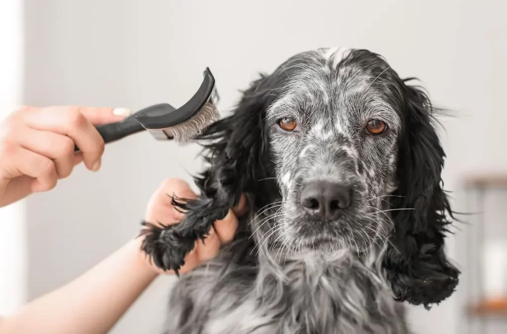 De-matting/shaving