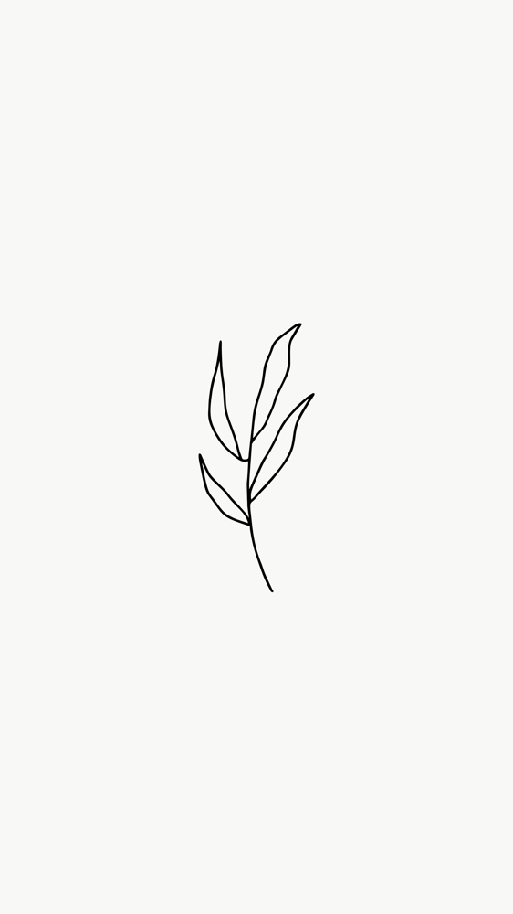 Root Retouch
