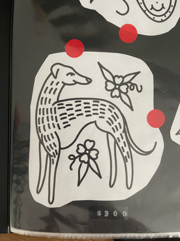Greyhound