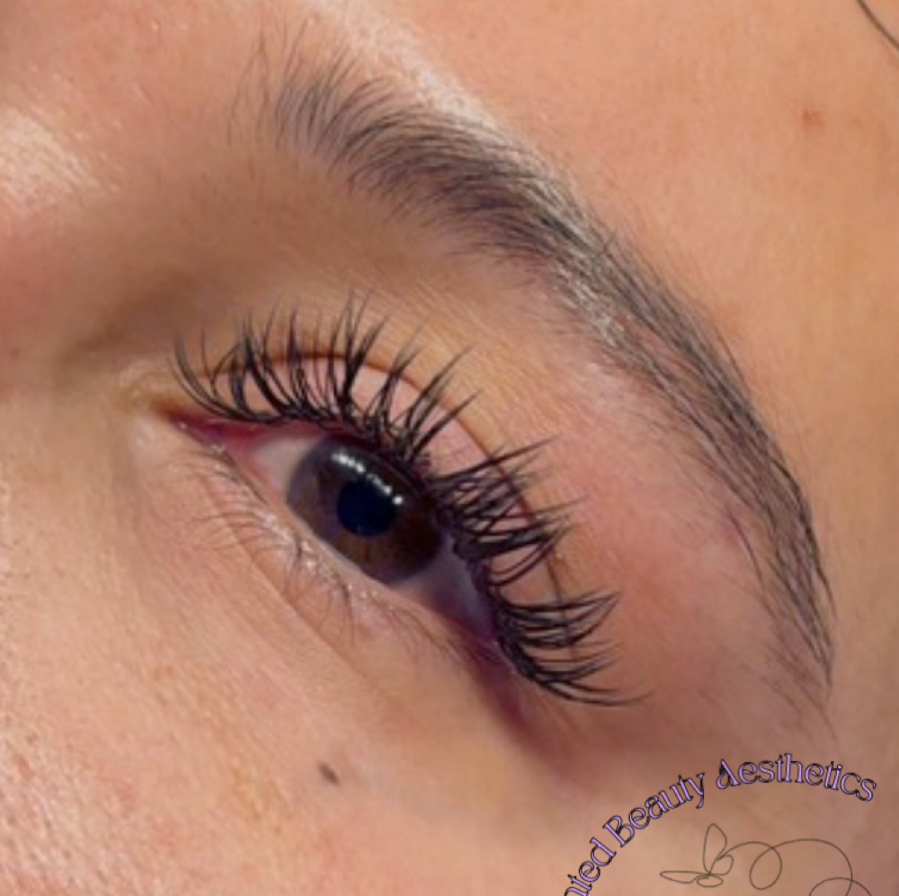 Wispy/Wet Full Set at Enchanted Beauty Aesthetics in Highland, IN