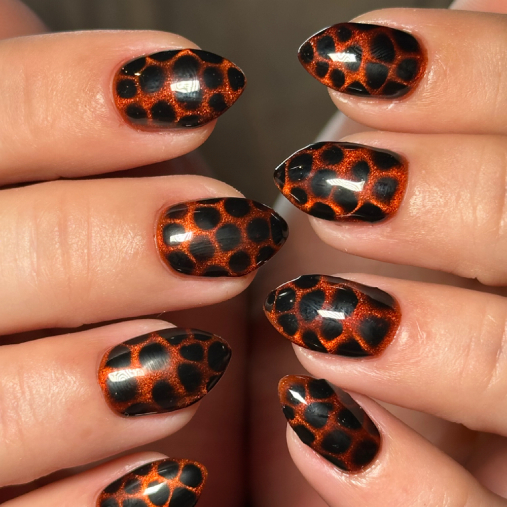 Builder Gel Overlay S/M at The Nail Forum in Alliance, OH