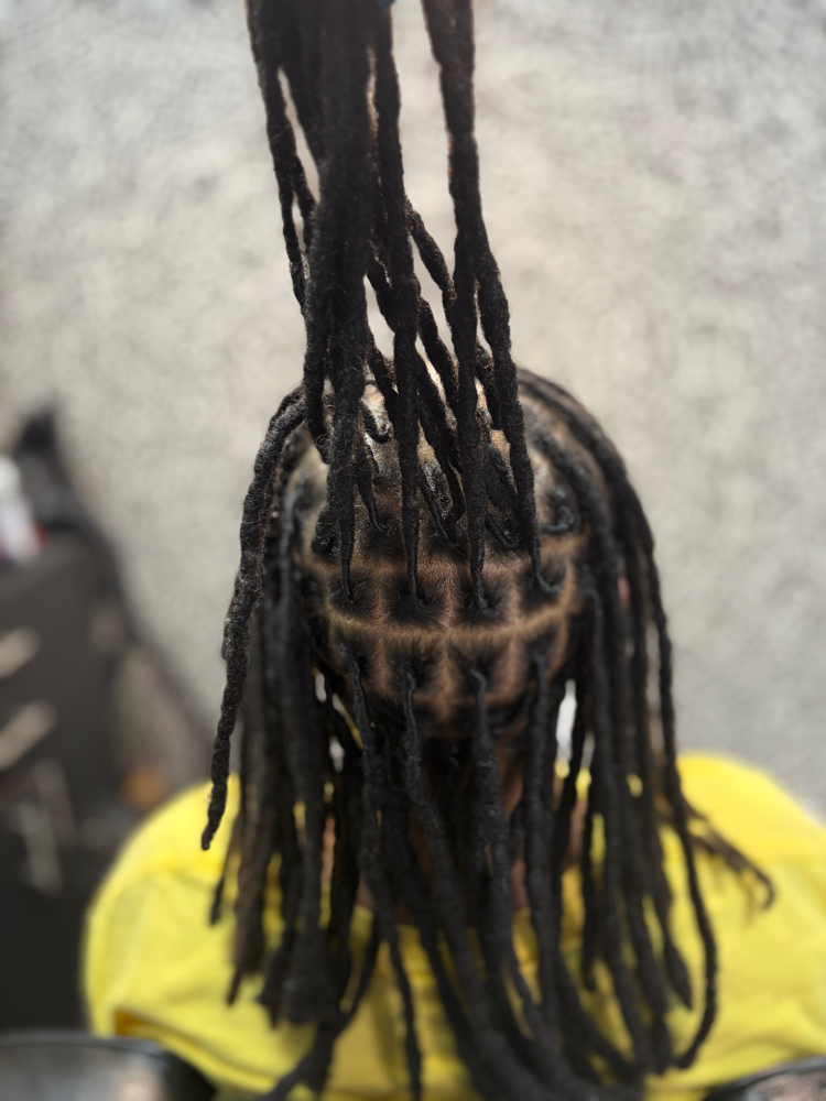 Traditional Locs, Long - Extra Long