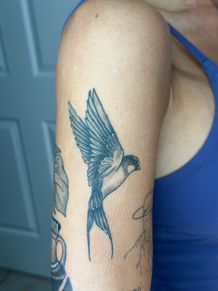 Medium Tattoo (3-4in) at Jens Ink Tattoo Studio in Sebring, FL