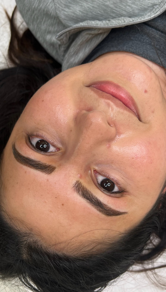 Ombre/Powder Brows