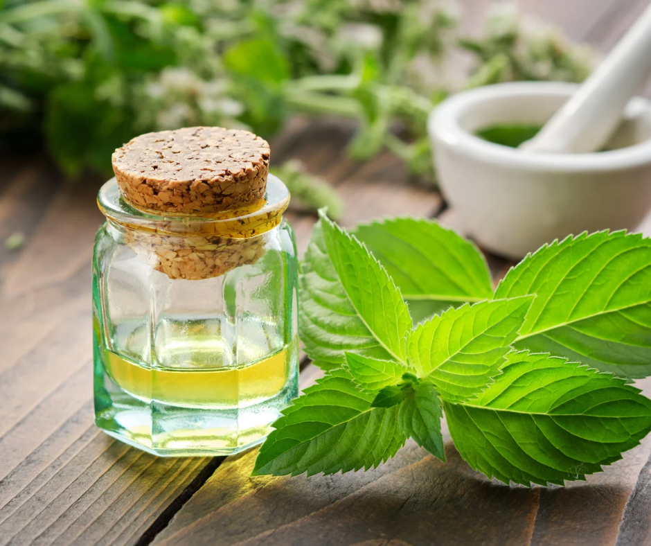 Peppermint Scalp Refreah at The Mane Shelby in Woodbury, TN
