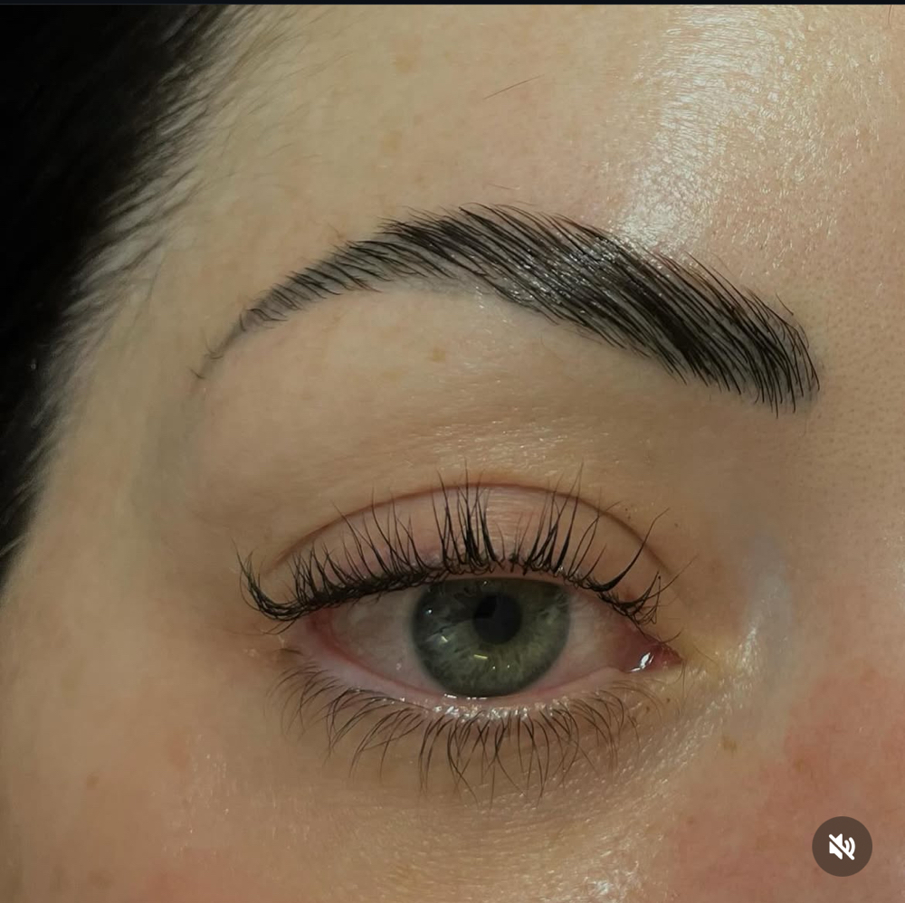 Brow Lift Only at Lizz Brows in Thornton, CO