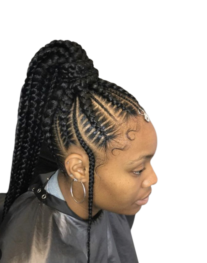 Braided Ponytail