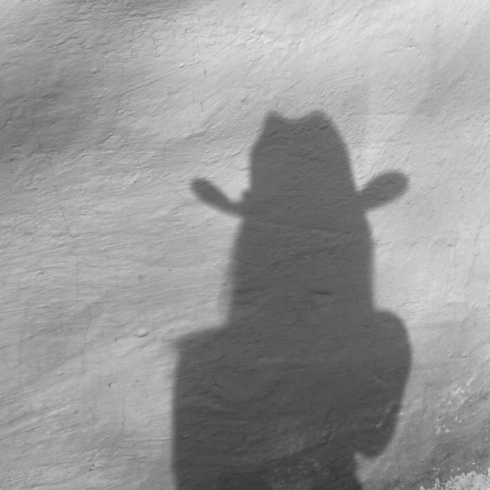 blowout at Desert Blonde Suite in Chandler, AZ