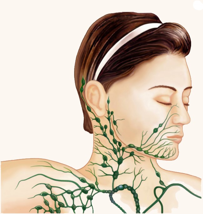 Lymphtic Drainage Massage