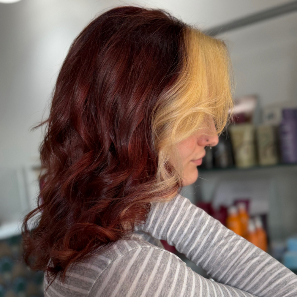 Color Correction/ Full Blonding at ShayxHair in Fort Collins, CO