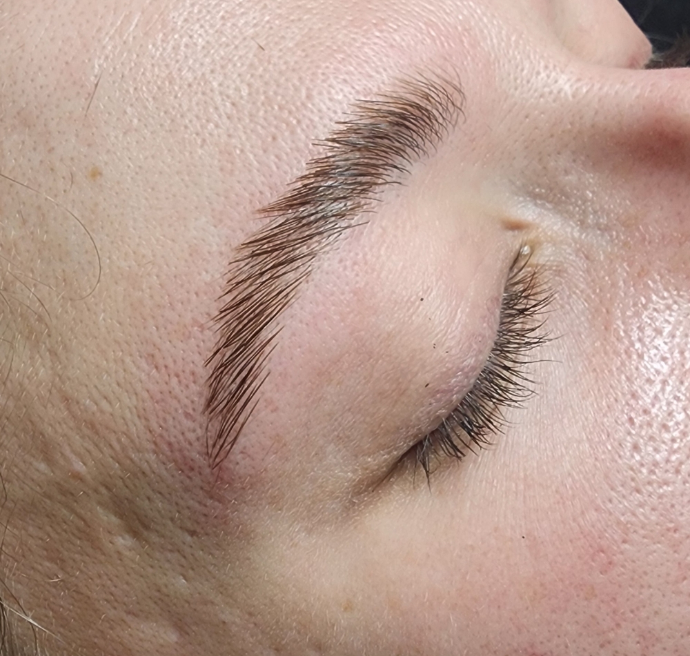 Eyebrow Lamination