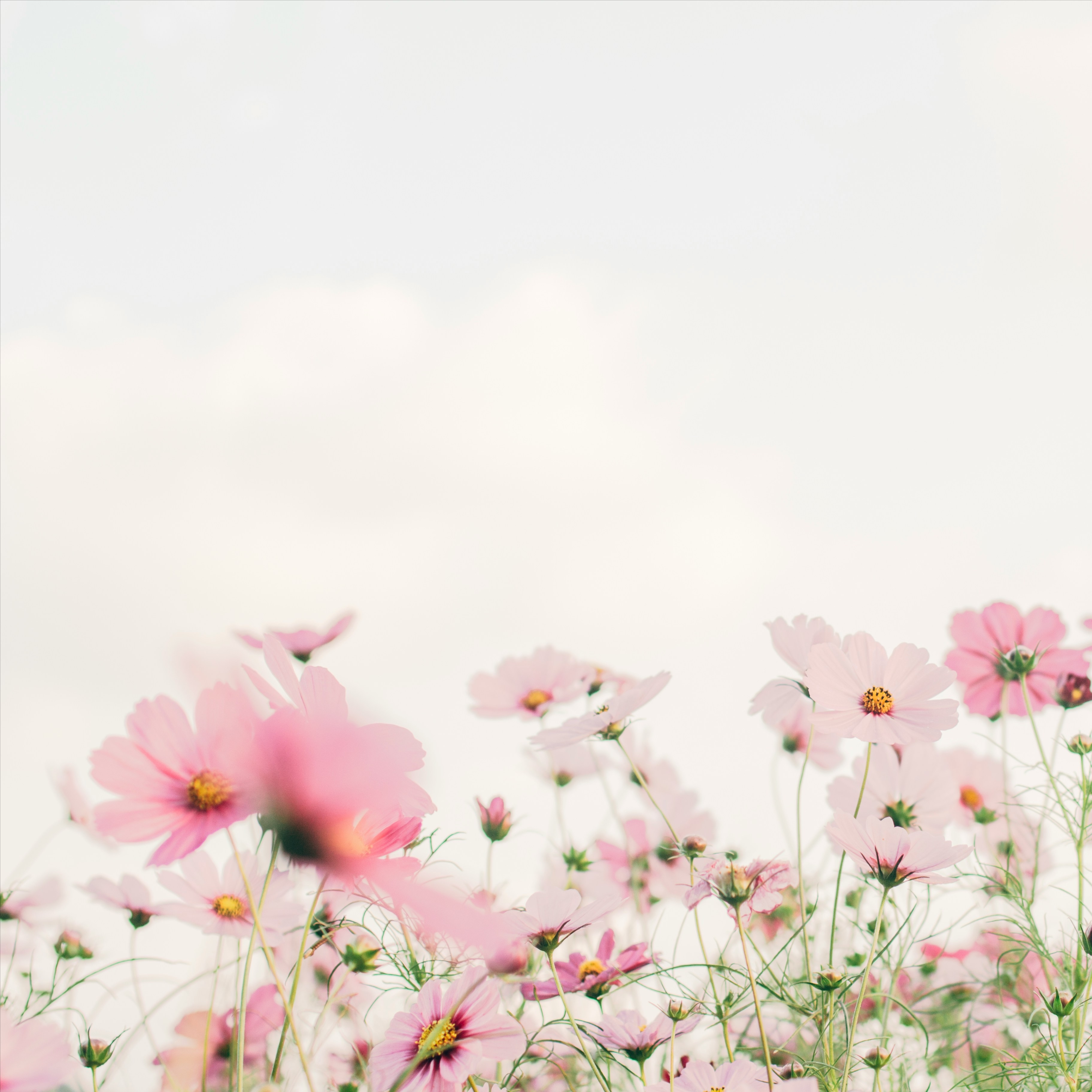 Clarifying Treatment at Blue Wellness Studio, LLC in Pacific City, OR