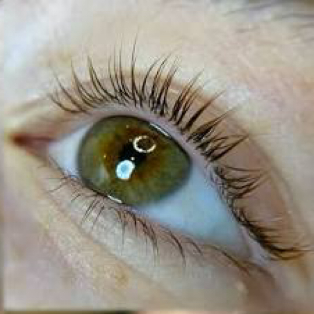 Lash Lift (No Tint) at HER Lash & Beauty Bar in Jacksonville, FL