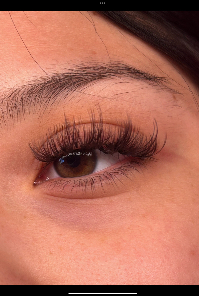 Wispy Hybrid 2 Week