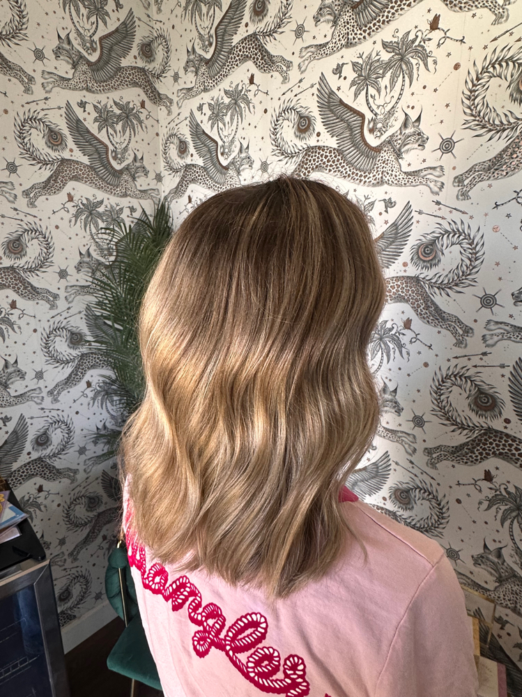 Full Highlight at RaeLee Cardwell in Bowling Green, KY