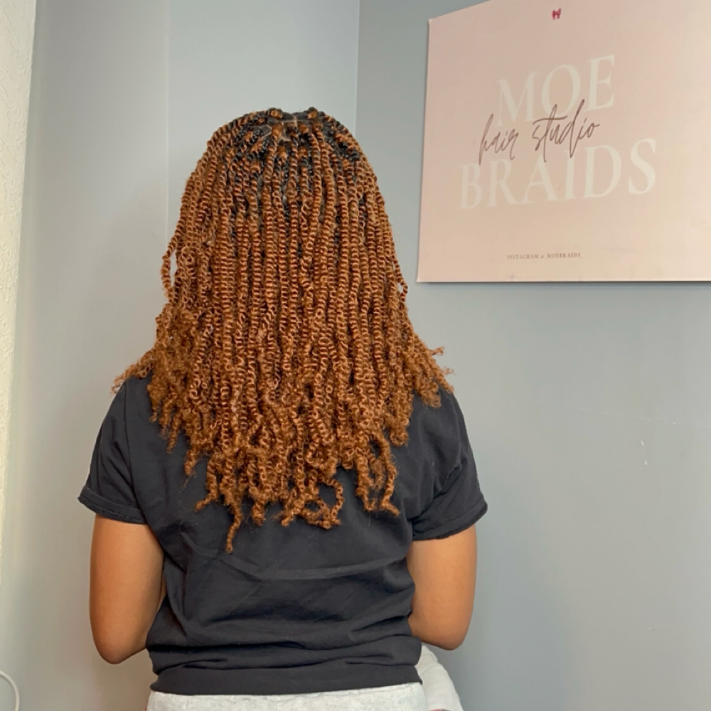 Mini Twist at Moe’Braids in Hartford, CT