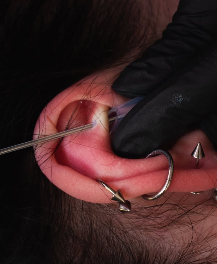 Rook Piercing
