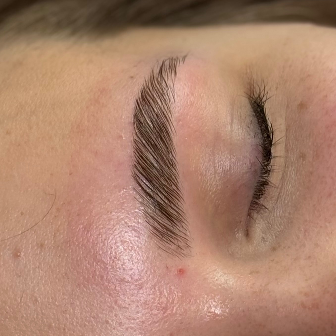 BROW LAMI & WAX at Hair Byy Gianna in Peoria, AZ